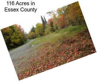 116 Acres in Essex County