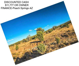 DISCOUNTED CASH  $11,777 OR OWNER FINANCE-Peach Springs AZ