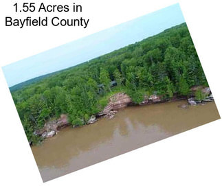 1.55 Acres in Bayfield County