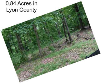 0.84 Acres in Lyon County