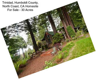 Trinidad, Humboldt County, North Coast, CA Homesite For Sale - 30 Acres