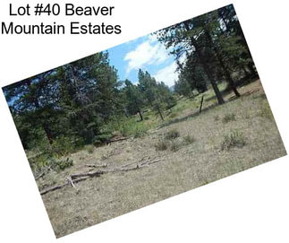 Lot #40 Beaver Mountain Estates