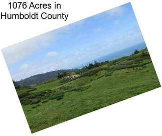 1076 Acres in Humboldt County