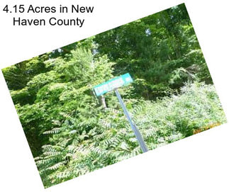 4.15 Acres in New Haven County