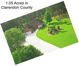 1.05 Acres in Clarendon County