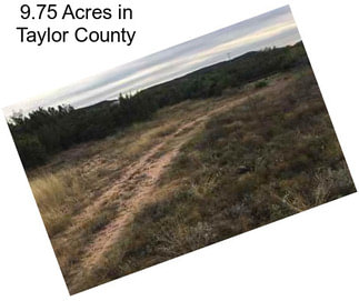 9.75 Acres in Taylor County