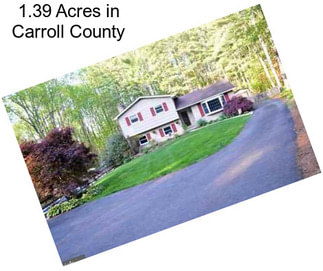 1.39 Acres in Carroll County