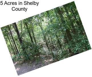 5 Acres in Shelby County