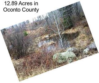 12.89 Acres in Oconto County