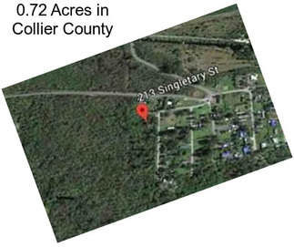 0.72 Acres in Collier County