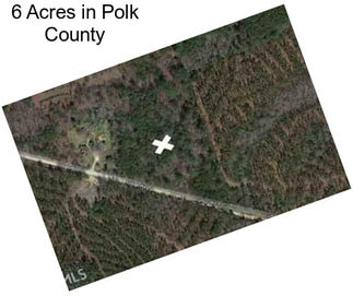 6 Acres in Polk County