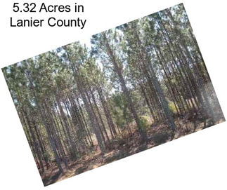 5.32 Acres in Lanier County