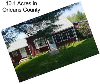 10.1 Acres in Orleans County