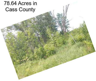 78.64 Acres in Cass County