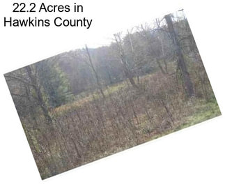 22.2 Acres in Hawkins County
