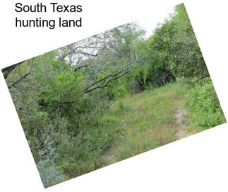 South Texas hunting land