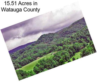 15.51 Acres in Watauga County