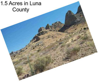 1.5 Acres in Luna County