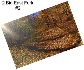 2 Big East Fork #2