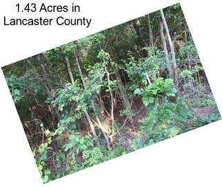 1.43 Acres in Lancaster County