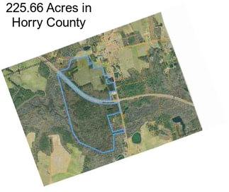 225.66 Acres in Horry County