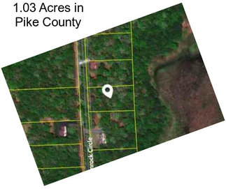 1.03 Acres in Pike County