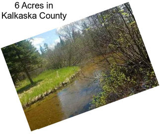 6 Acres in Kalkaska County