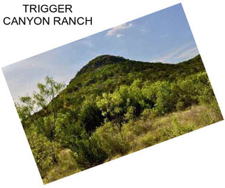 TRIGGER CANYON RANCH