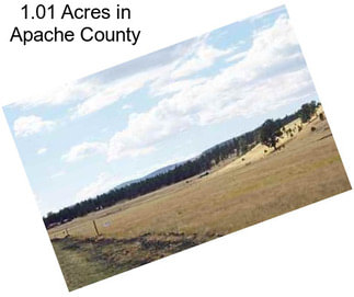 1.01 Acres in Apache County