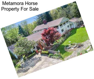 Metamora Horse Property For Sale