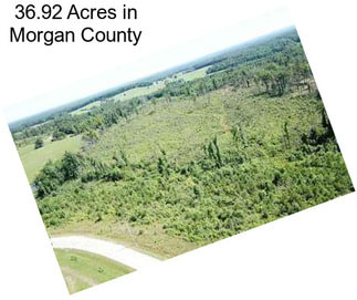 36.92 Acres in Morgan County