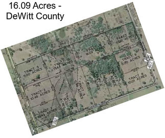 16.09 Acres - DeWitt County