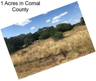 1 Acres in Comal County