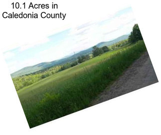 10.1 Acres in Caledonia County