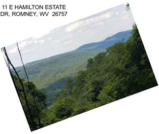 11 E HAMILTON ESTATE DR, ROMNEY, WV  26757