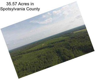 35.57 Acres in Spotsylvania County