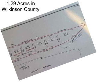 1.29 Acres in Wilkinson County