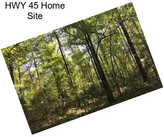 HWY 45 Home Site
