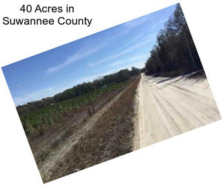 40 Acres in Suwannee County