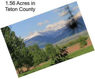 1.56 Acres in Teton County