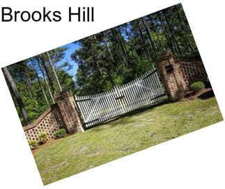 Brooks Hill