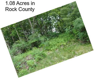 1.08 Acres in Rock County