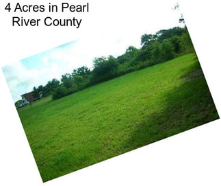 4 Acres in Pearl River County