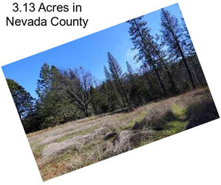 3.13 Acres in Nevada County