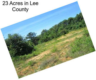 23 Acres in Lee County