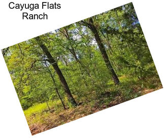 Cayuga Flats Ranch