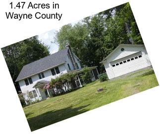 1.47 Acres in Wayne County