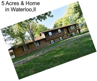 5 Acres & Home in Waterloo,Il