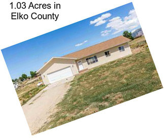 1.03 Acres in Elko County