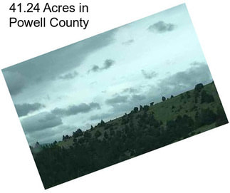 41.24 Acres in Powell County